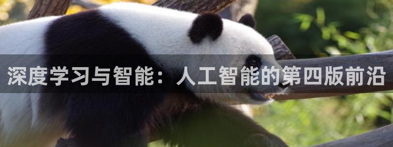 深度学习与智能：人工智能的第四版前沿