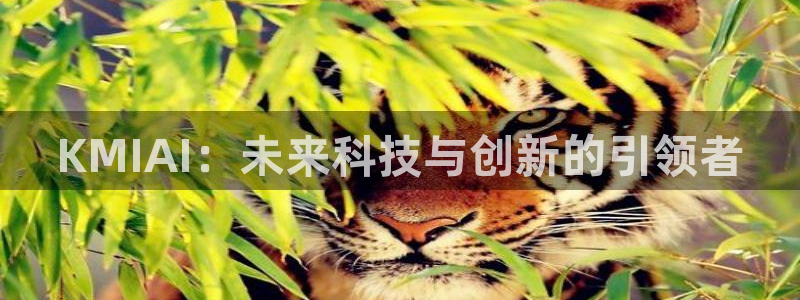 KMIAI：未来科技与创新的引领者