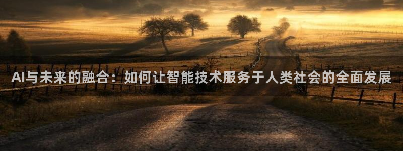 AI与未来的融合：如何让智能技术服务于人类社会的全面发展