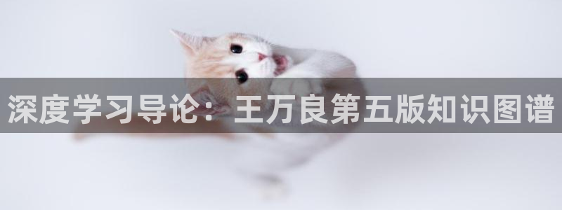 深度学习导论：王万良第五版知识图谱