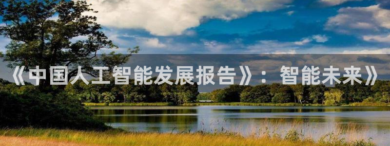 《中国人工智能发展报告》：智能未来》