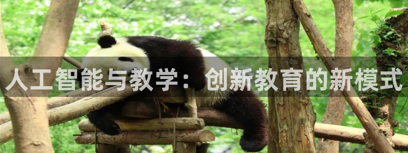 人工智能与教学：创新教育的新模式