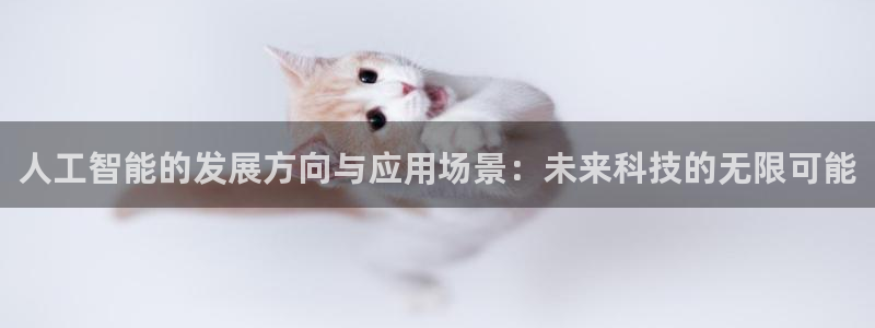 人工智能的发展方向与应用场景：未来科技的无限可能