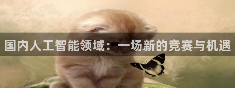国内人工智能领域：一场新的竞赛与机遇