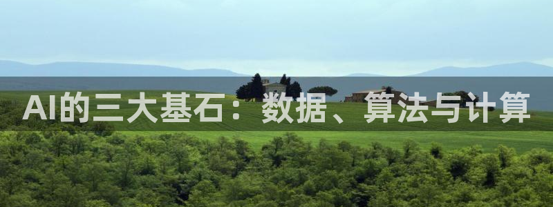 AI的三大基石：数据、算法与计算