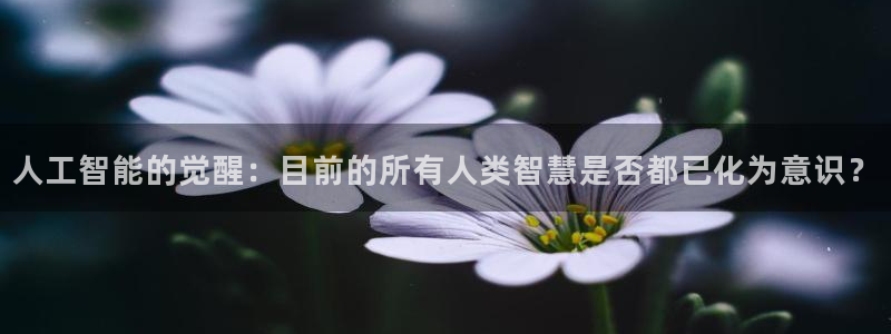 人工智能的觉醒：目前的所有人类智慧是否都已化为意识？