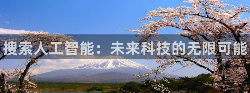搜索人工智能：未来科技的无限可能