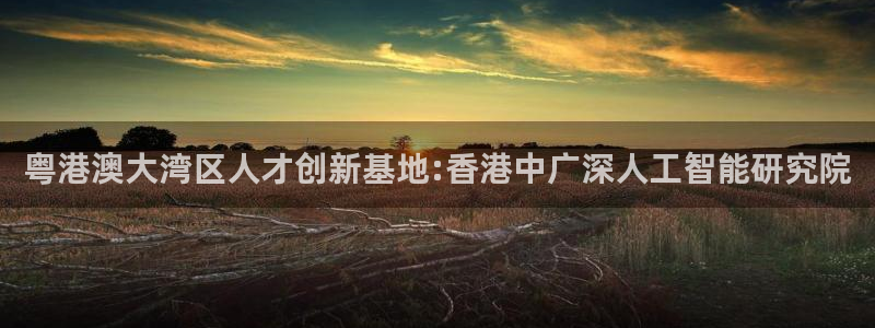 粤港澳大湾区人才创新基地:香港中广深人工智能研究院