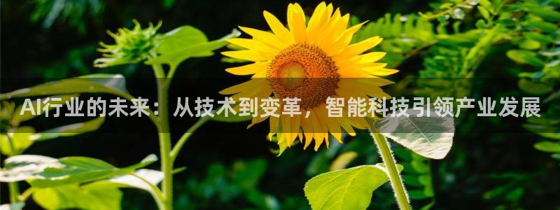 AI行业的未来：从技术到变革，智能科技引领产业发展