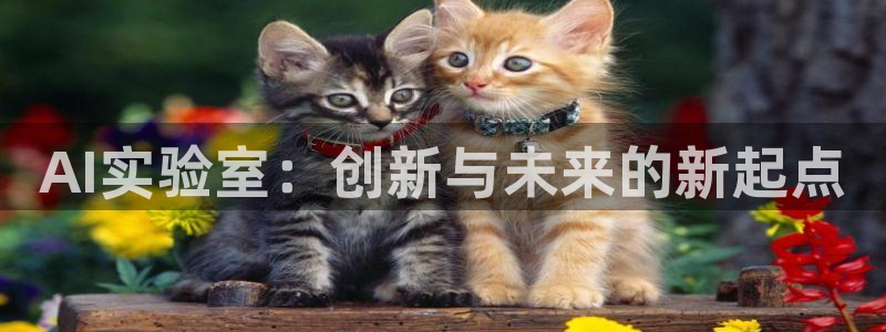 AI实验室：创新与未来的新起点