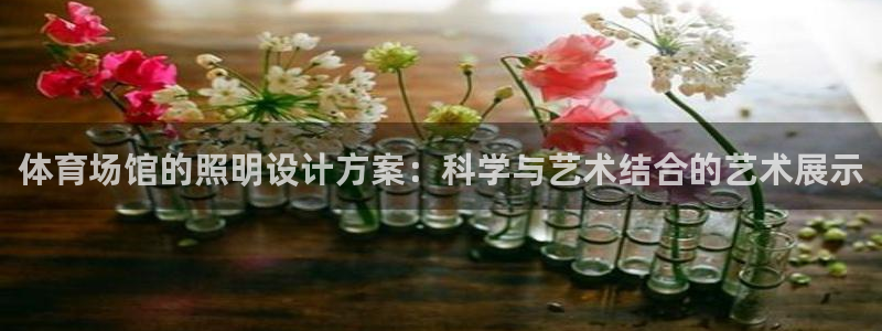 体育场馆的照明设计方案：科学与艺术结合的艺术展示