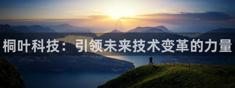桐叶科技：引领未来技术变革的力量