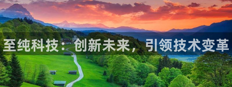 至纯科技：创新未来，引领技术变革