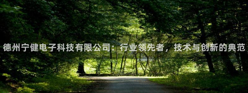 德州宁健电子科技有限公司：行业领先者，技术与创新的典范