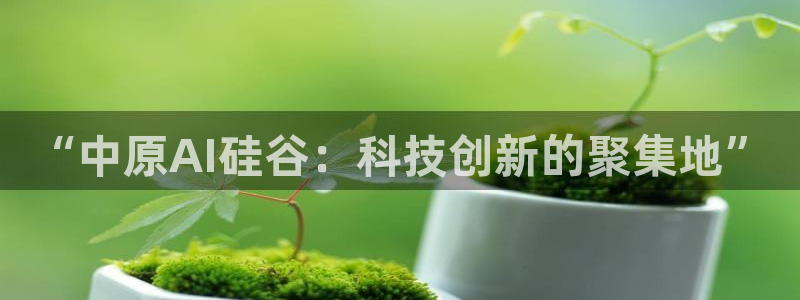 “中原AI硅谷：科技创新的聚集地”