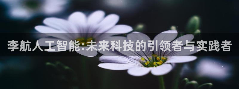 李航人工智能:未来科技的引领者与实践者