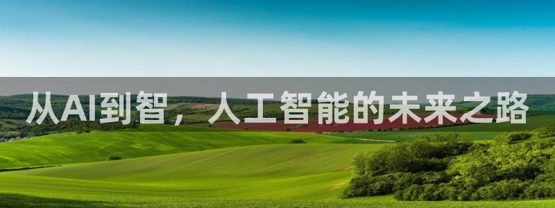从AI到智，人工智能的未来之路