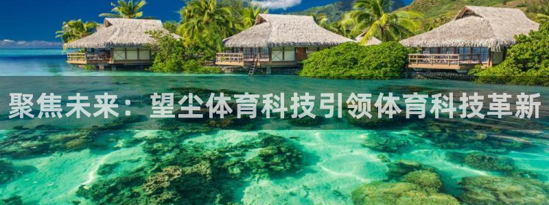 聚焦未来：望尘体育科技引领体育科技革新