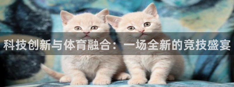科技创新与体育融合：一场全新的竞技盛宴