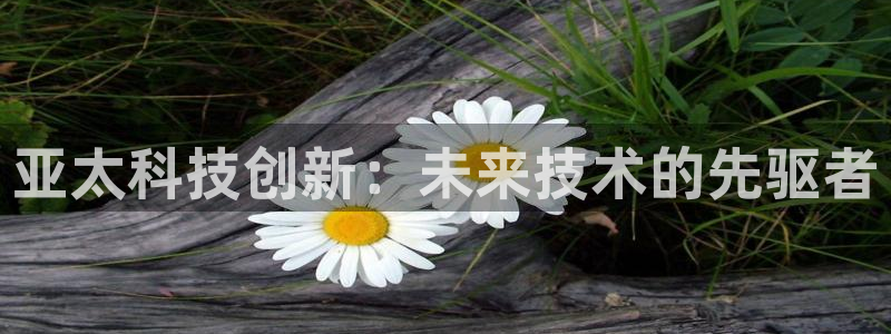 亚太科技创新：未来技术的先驱者