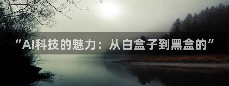 “AI科技的魅力：从白盒子到黑盒的”