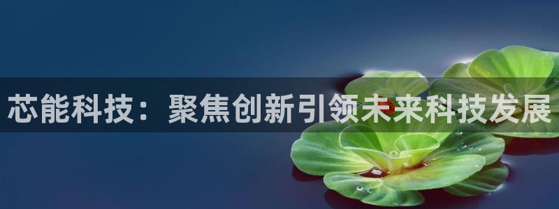 芯能科技：聚焦创新引领未来科技发展