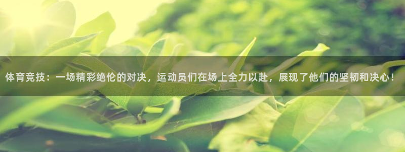 体育竞技：一场精彩绝伦的对决，运动员们在场上全力以赴，展现了他们的坚韧和决心！