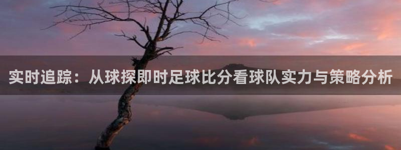 实时追踪：从球探即时足球比分看球队实力与策略分析