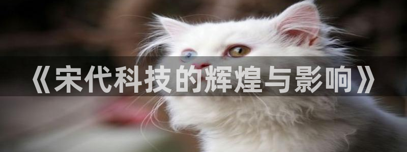 《宋代科技的辉煌与影响》