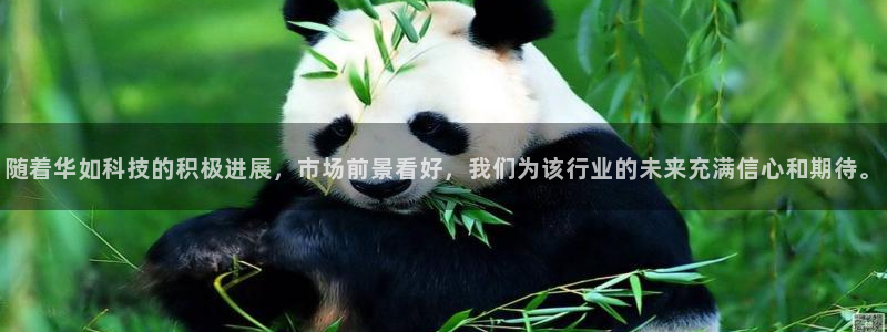 随着华如科技的积极进展，市场前景看好，我们为该行业的未来充满信心和期待。