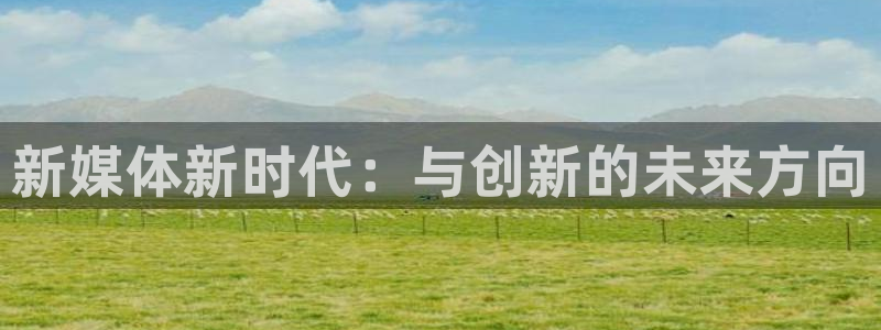 新媒体新时代：与创新的未来方向