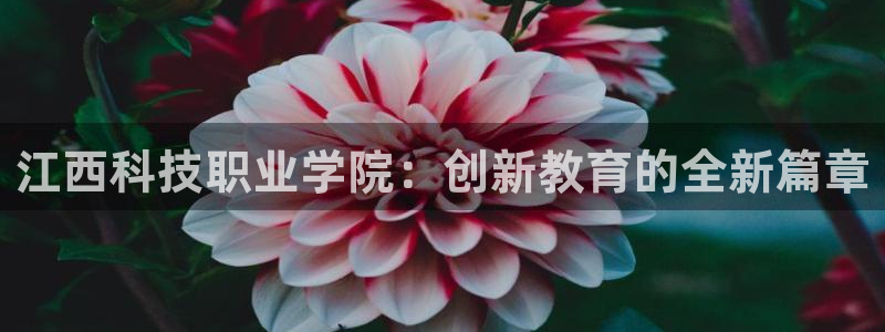 江西科技职业学院：创新教育的全新篇章