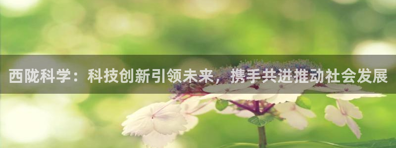 西陇科学：科技创新引领未来，携手共进推动社会发展