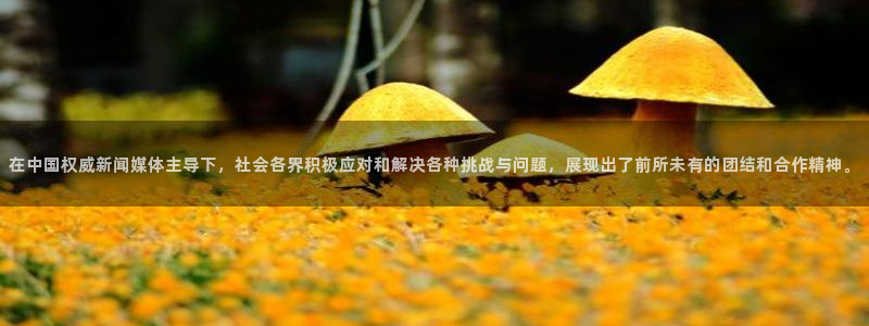 在中国权威新闻媒体主导下，社会各界积极应对和解决各种挑战与问题，展现出了前所未有的团结和合作精神。