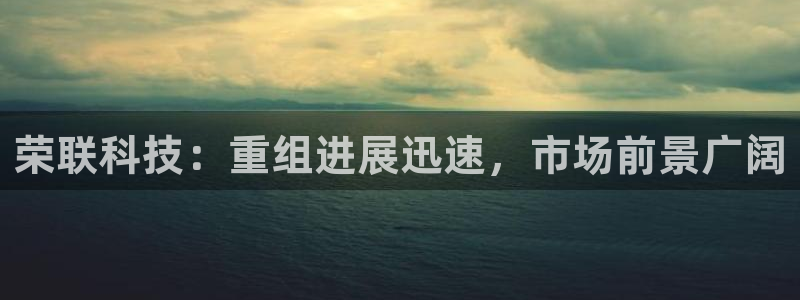 荣联科技：重组进展迅速，市场前景广阔