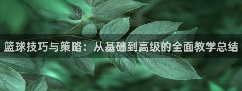 篮球技巧与策略：从基础到高级的全面教学总结