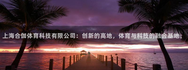 上海合伽体育科技有限公司：创新的高地，体育与科技的融合基地。