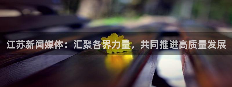 江苏新闻媒体：汇聚各界力量，共同推进高质量发展
