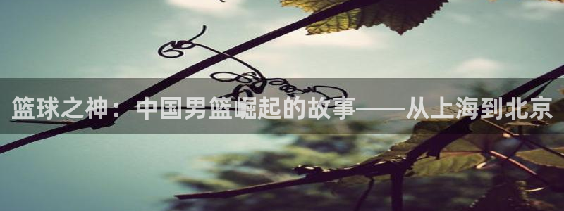 篮球之神：中国男篮崛起的故事——从上海到北京