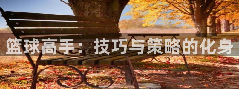 篮球高手：技巧与策略的化身