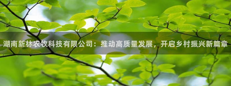 湖南新林农牧科技有限公司：推动高质量发展，开启乡村振兴新篇章