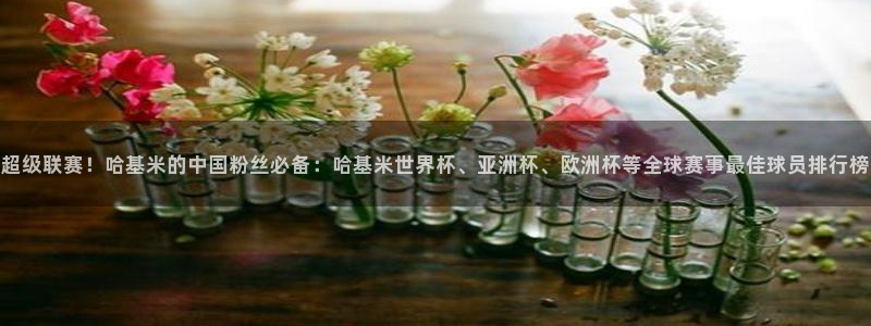 超级联赛！哈基米的中国粉丝必备：哈基米世界杯、亚洲杯、欧洲杯等全球赛事最佳球员排行榜