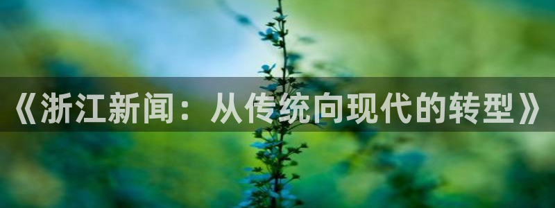 《浙江新闻：从传统向现代的转型》