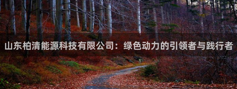 山东柏清能源科技有限公司：绿色动力的引领者与践行者