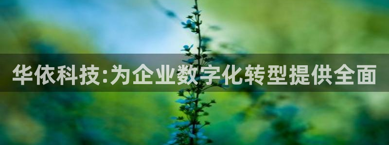 华依科技:为企业数字化转型提供全面