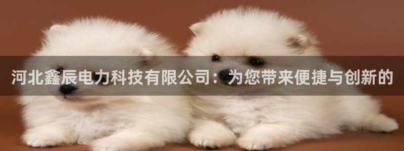 河北鑫辰电力科技有限公司：为您带来便捷与创新的