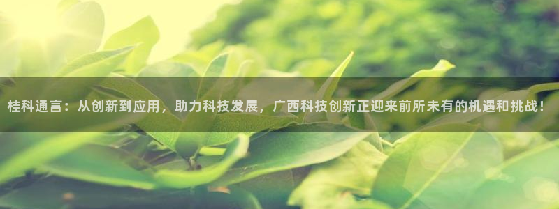 桂科通言：从创新到应用，助力科技发展，广西科技创新正迎来前所未有的机遇和挑战！