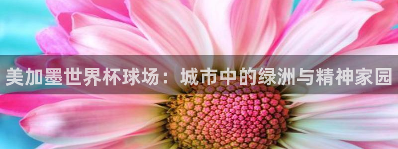 美加墨世界杯球场：城市中的绿洲与精神家园