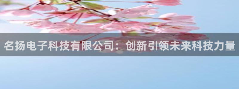 名扬电子科技有限公司：创新引领未来科技力量