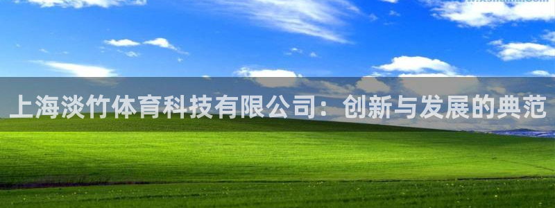 上海淡竹体育科技有限公司：创新与发展的典范